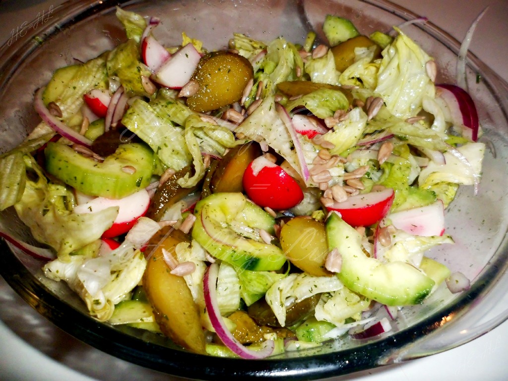 Salmon with red onion, tomatoes, and mozzarella